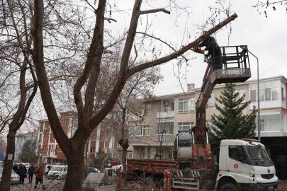 Keçiören Belediyesi, park ve yeşil alanlardaki bakım çalışmalarına devam ediyor