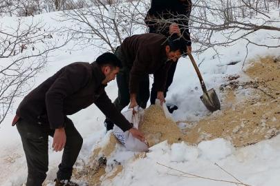 Kemah’ta yaban hayatı unutulmadı