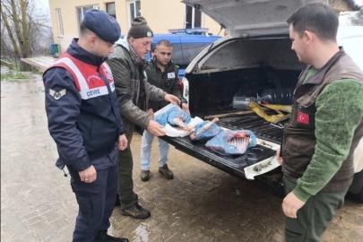 Kırklareli’de yasa dışı karaca avına ağır ceza