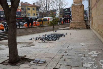 Kırşehir’de tarihi Kapucu Camii güvercinlerin yuvası oldu