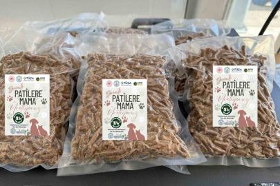 Kızılcahamam’da yemek atıkları kedi ve köpek mamasına dönüşüyor