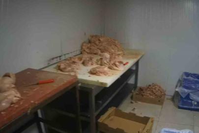 Kocaeli’de merdiven altı tavuk parçalama tesisine suçüstü