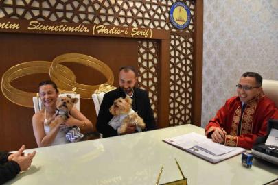 Köpekleriyle birlikte mutluluğa "evet" dediler