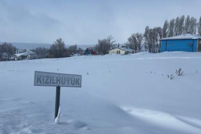 Köyün kâbusu olan kurtlar için araziye yiyecek bırakıldı