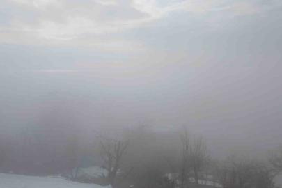 Kulp ilçesinde yoğun sis etkili oldu