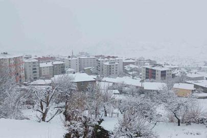 Kulp’ta kar esareti: Köy yolları kapandı, ilçe trafiği kilitlendi