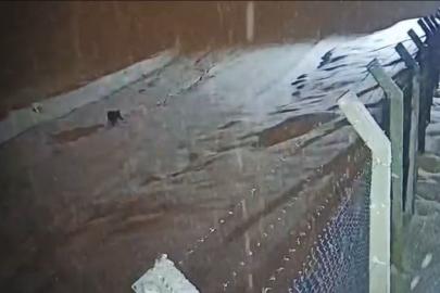 Kurtalan’da köye inen kurt güvenlik kamerasına  yansıdı