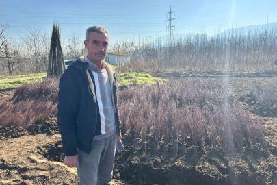 Kurulan her meyve bahçesinde "Bursa" imzası var