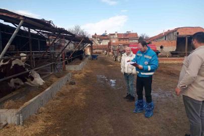 Kütahya’da hayvancılık işletmelerine yönelik kapasite tespiti sürüyor