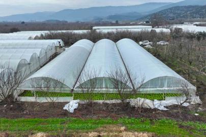 Lodostan zarar gören seralara Büyükşehir desteği