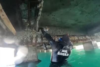 Mahsur kalan kedi için sahil güvenlik seferber oldu