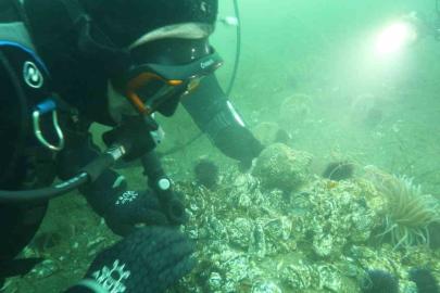 Marmara Denizi’ne kıyı kentlerin Belediye Başkanlarına dalış çağrı