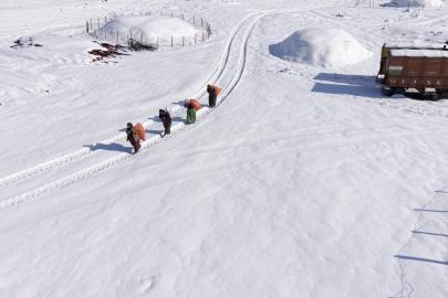 Mazıdağı’nın karlı yollarında zorlu mesai: Kadınlar sırtlarında saman taşıyarak kışa meydan okuyor