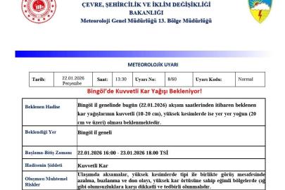 Meteorolojiden Bingöl için kuvvetli kar yağışı uyarısı