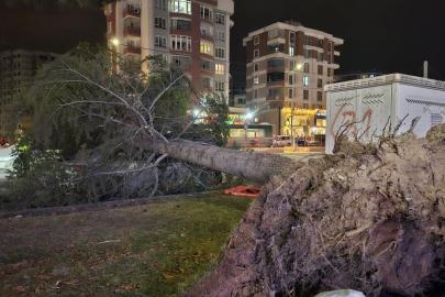 Meteoroloji’den ’kuvvetli rüzgar’ ve ’fırtına’ uyarısı
