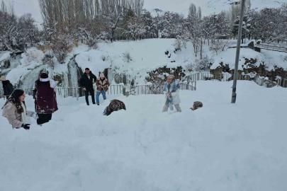 Muradiye Şelalesi’ne ziyaretçi akını