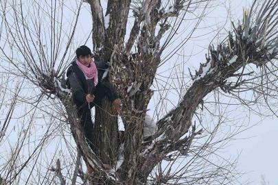 Muş’ta besicilerden alternatif yem yöntemi