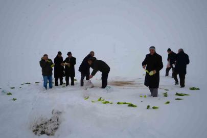 Muş’ta yaban hayvanları için doğaya yem bırakıldı