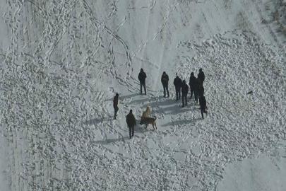 Nevşehir’de köpek dövüşüne jandarma baskını