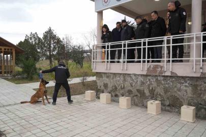 OMÜ’de yetiştirilen görev köpeği ’Pars’, Samsun Emniyeti’ne teslim edildi