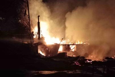 Ordu’da evini ateşe veren şahıs ağaçta asılı halde bulundu