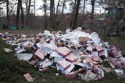 Ormanı çöplüğü çevirmişler