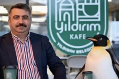 Penguen sürüden ayrılırken belediyeler boş durmadı