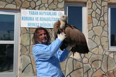 Prof. Dr. Lokman Aslan’dan kritik uyarı: "Yaban hayatına müdahale merhamet değil tehlikedir"