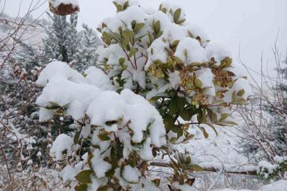 Pütürge’de kartpostallık görüntüler