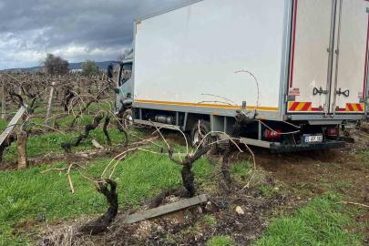 Sabıkalı yolda kamyon üzüm bağına girdi