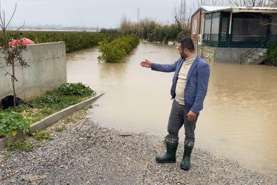 Sağanak sonrası evde mahsur kalan 4 köpek iş makinesiyle kurtarıldı
