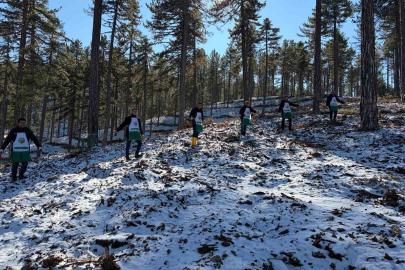 Saimbeyli’de orman geleceğe hazırlanıyor