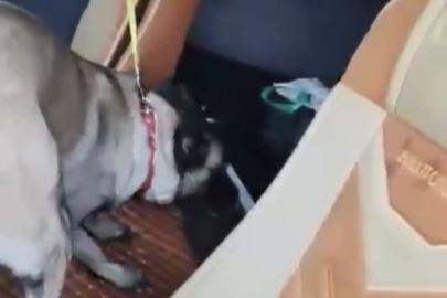 Samsun’da tırda metamfetamin ele geçirildi