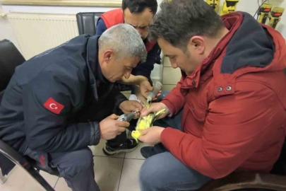 Şanlıurfa’da papağanın ayağına sıkışan halhal itfaiye ekiplerinin operasyonuyla çıkarıldı