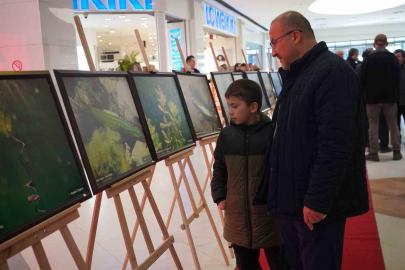 Sapanca Gölü fotoğrafları Gazze için umuda dönüştü: Geliri yetim ve öksüz çocuklara bağışlanacak