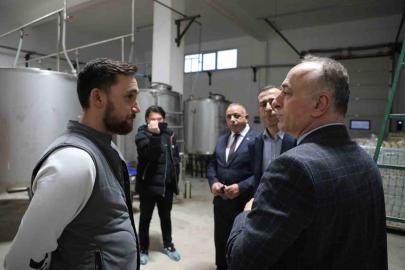 Sarıcakaya’da zeytin ve zeytinyağı üretimi hızla artıyor