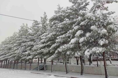 Sason’da yoğun kar yağışı hayatı olumsuz etkiliyor