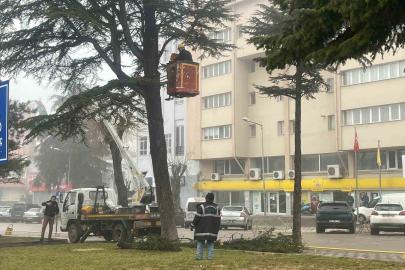 Şehir merkezinde riskli ağaçlara sepetli araçlı müdahale