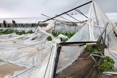 Seydikemer’de hortumun vurduğu seralarda hasar tespit çalışmaları başladı