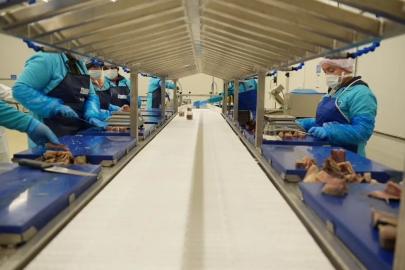 Sinop 2025’te ihracatta vites yükseltti