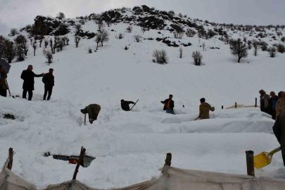 Şırnak’ta bal arıları çığ altında kaldı