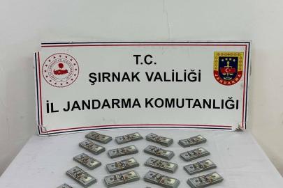 Şırnak’ta jandarma ekiplerinden kaçakçılığa darbe
