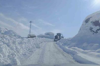 Şırnak’ta karlı yollar tek tek açılıyor