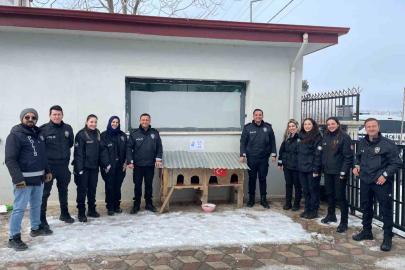 Sivrice polisinden üşüyen minik dostlarına kedi evi