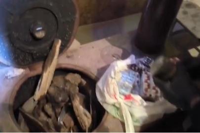 Sobaya gizlenmiş 638 adet sentetik hap ele geçirildi: 1 tutuklama