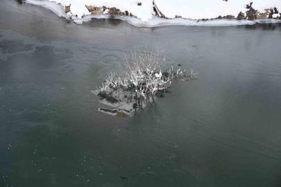 Soğuk hava Habur Çayı’nı dondurdu