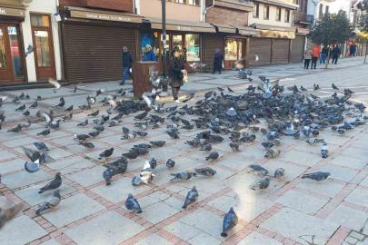 Soğukta üşüyen kuşlar için 5 kilometrelik şefkat yolculuğu