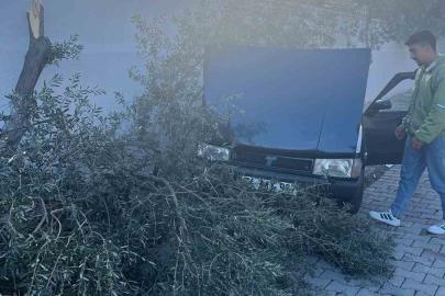 Süratli otomobil önce ağaca sonra duvara çarptı