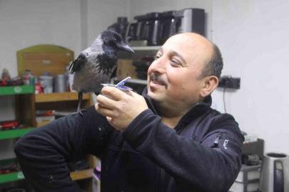 Tamirci çırağı karga