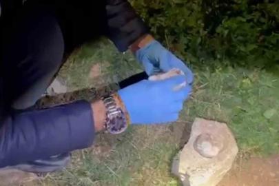 Taşın altında zulalanan satışa hazır uyuşturucu polisin dikkatiyle bulundu